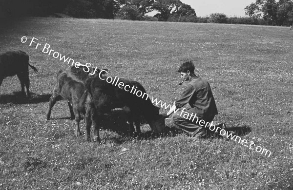 CALF & CHILDREN